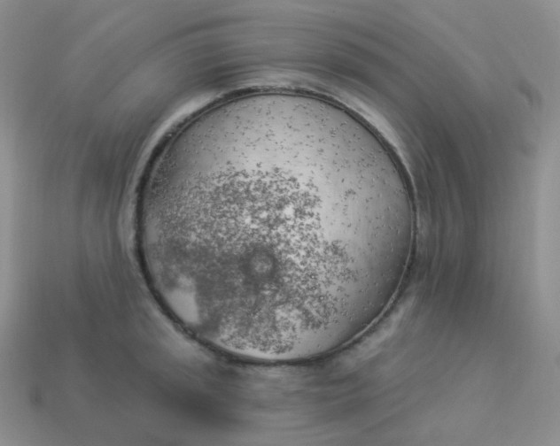 X0000114021045200910161752