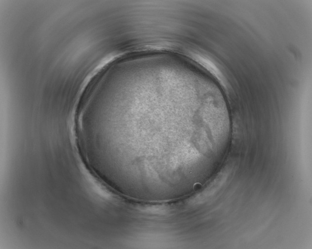 X0000114021047200910161752