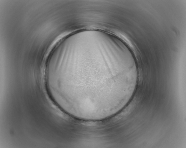 X0000114021048200910161752