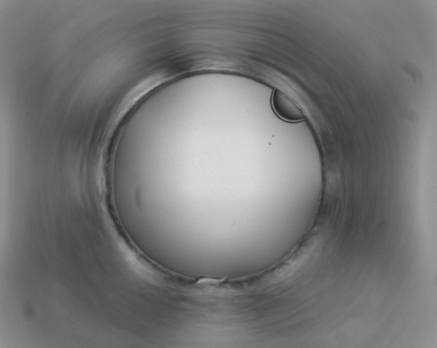 X0000114021050200910161752