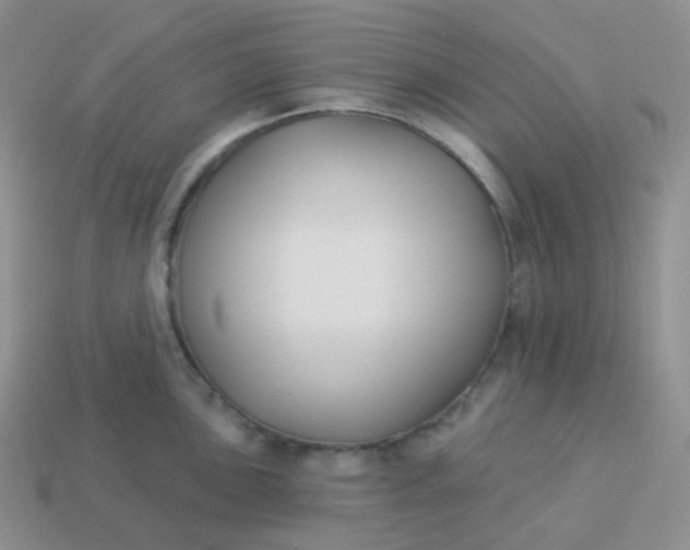 X0000114021051200910161752