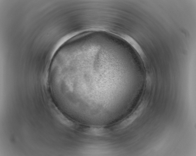 X0000114021052200910161752