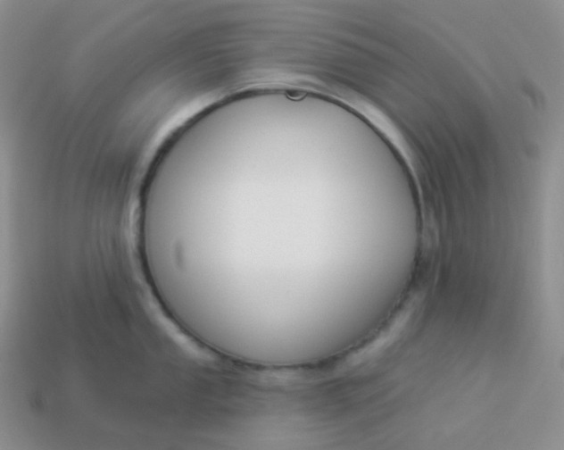 X0000114021053200910161752