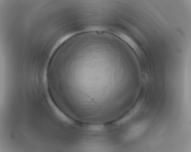 X0000114021055200910161752