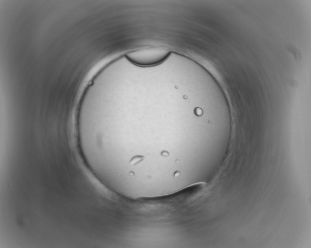 X0000114021056200910161752