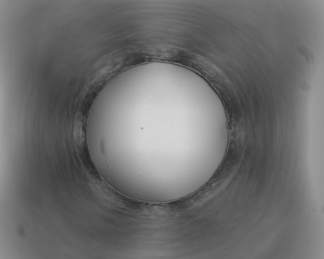 X0000114021058200910161751