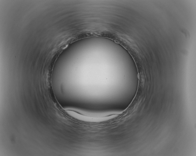 X0000114021060200910161751