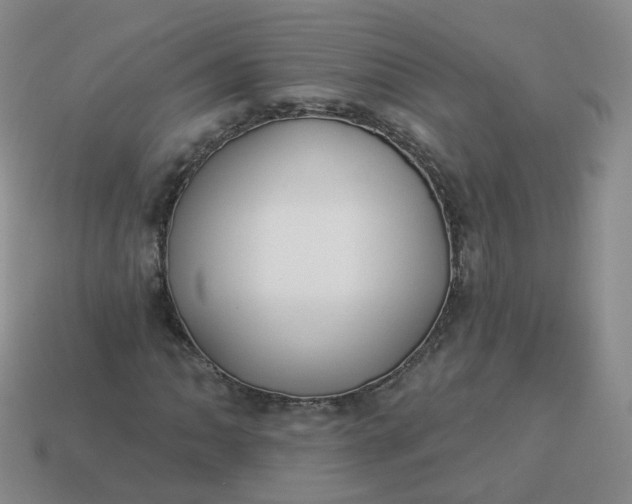 X0000114021062200910161751