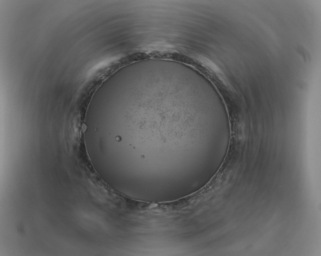 X0000114021063200910161751