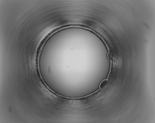 X0000114021068200910161751