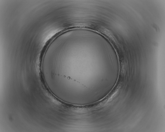 X0000114021071200910161751