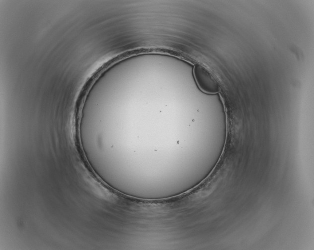 X0000114021076200910161751