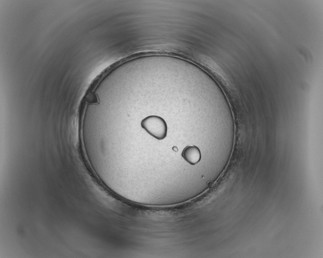 X0000114021079200910161751