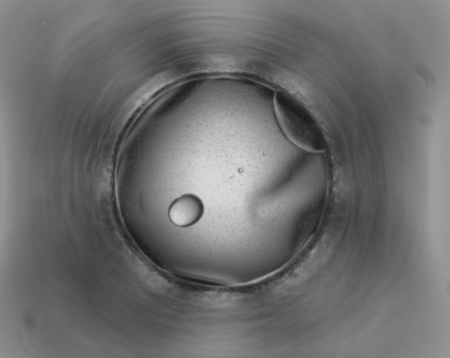 X0000114021081200910161751