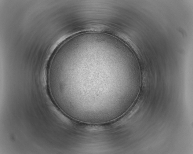 X0000114021083200910161751