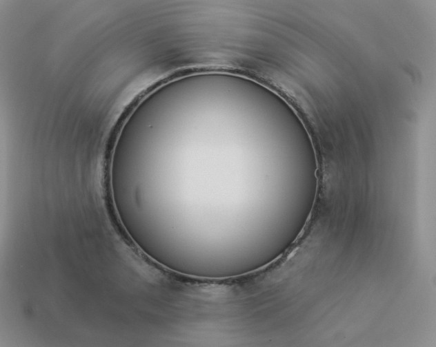 X0000114021085200910161751