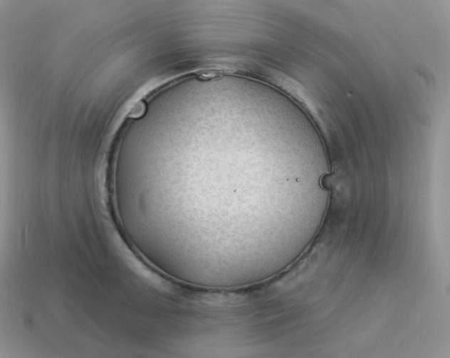 X0000114021091200910161751