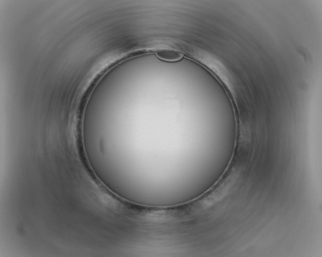 X0000114021093200910161751