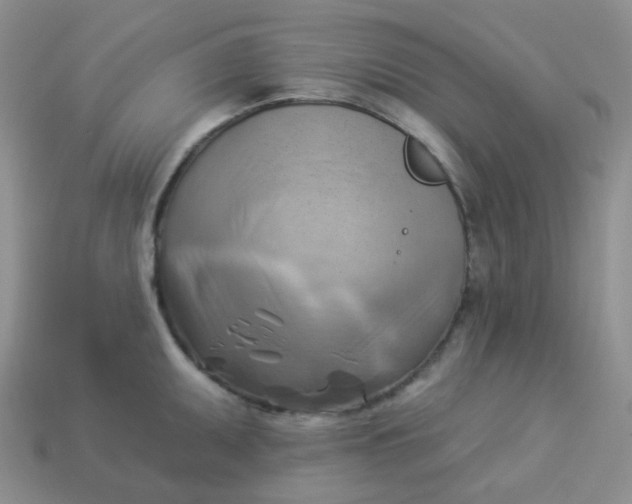 X0000114021095200910161751