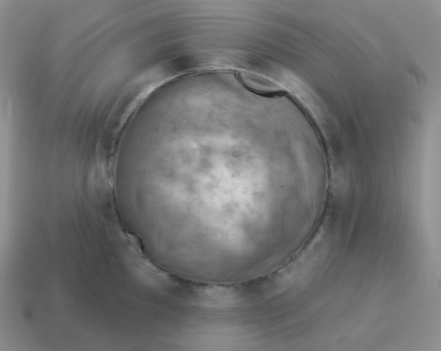 X0000114021097200910161751