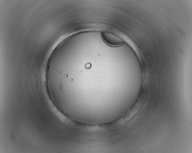 X0000114021099200910161751