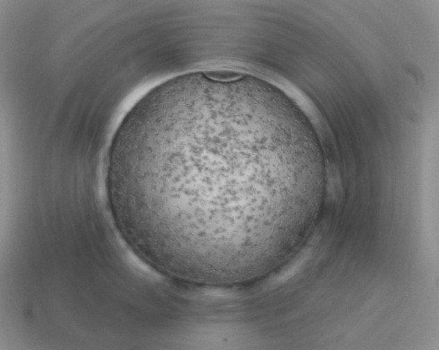 X0000114021102200910161751