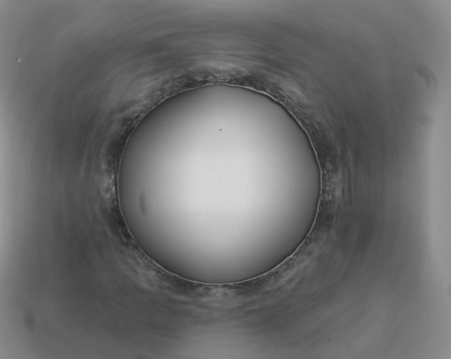 X0000114021109200910161750