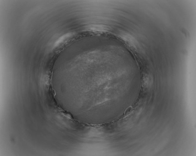 X0000114021110200910161750