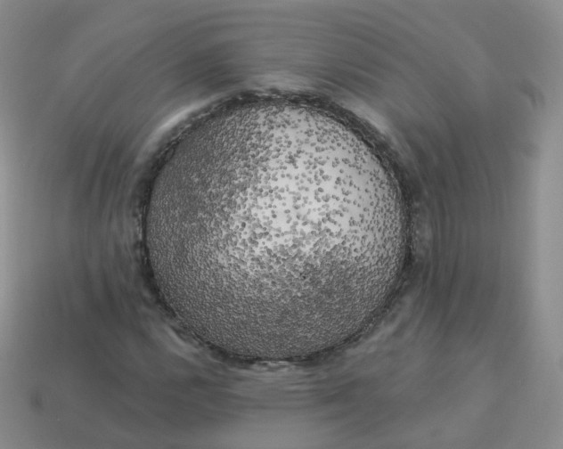 X0000114021112200910161750