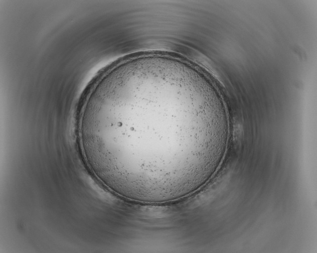 X0000114021116200910161750