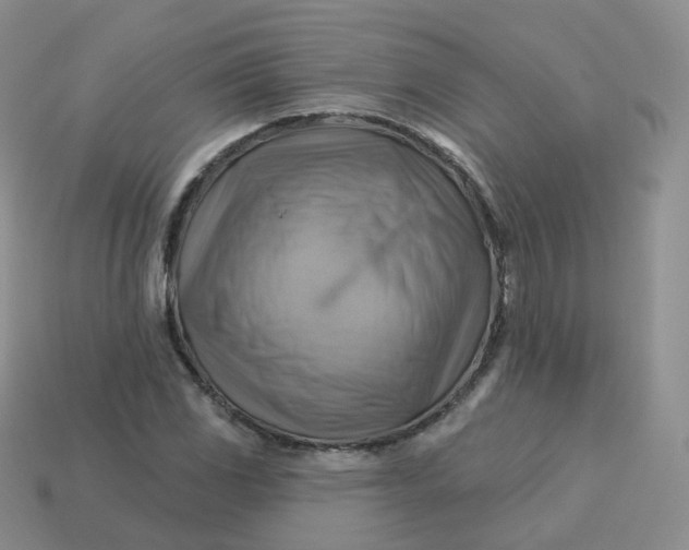 X0000114021117200910161750