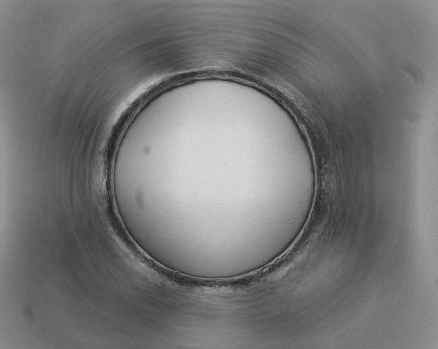 X0000114021118200910161750