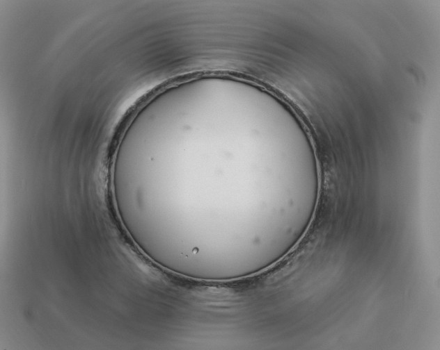 X0000114021119200910161750