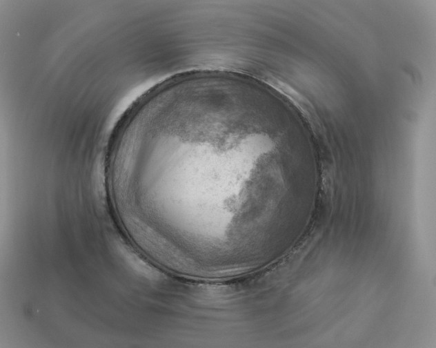 X0000114021120200910161750