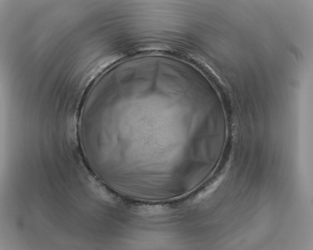 X0000114021121200910161750