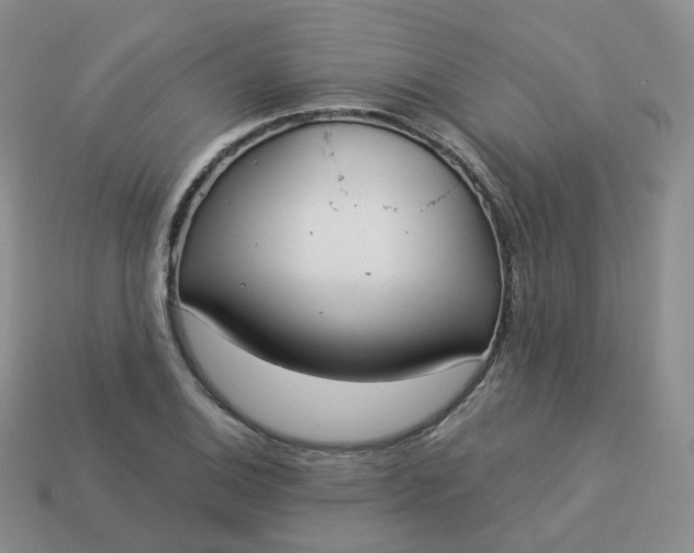 X0000114021124200910161750