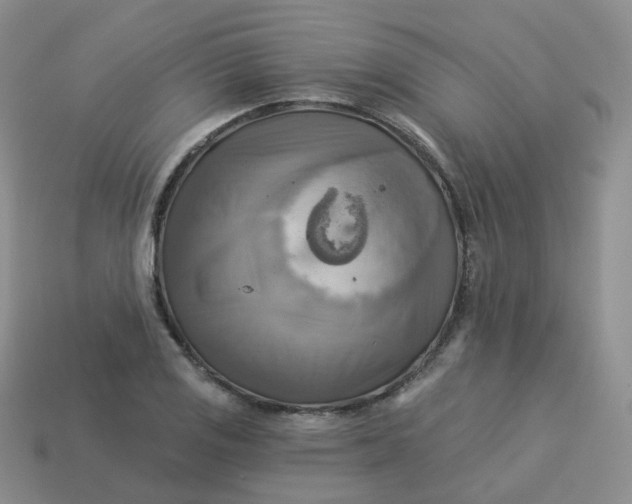 X0000114021125200910161750