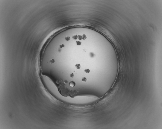 X0000114021132200910161750