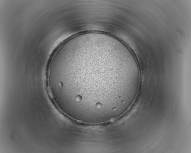 X0000114021133200910161750