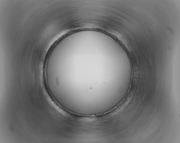 X0000114021134200910161750