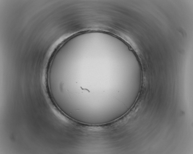 X0000114021136200910161750