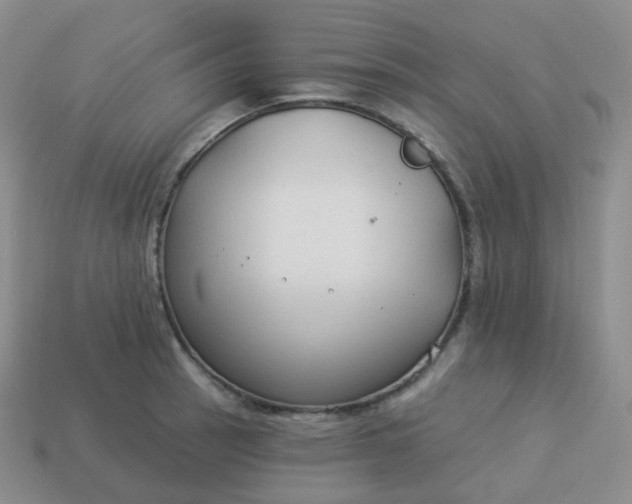 X0000114021137200910161750