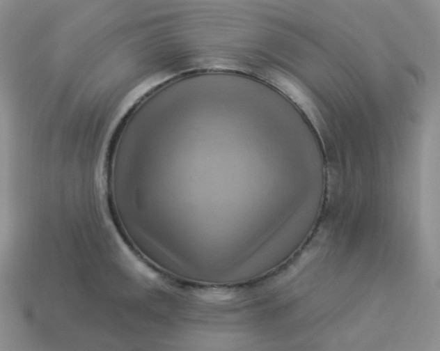 X0000114021141200910161750