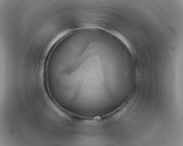 X0000114021142200910161750