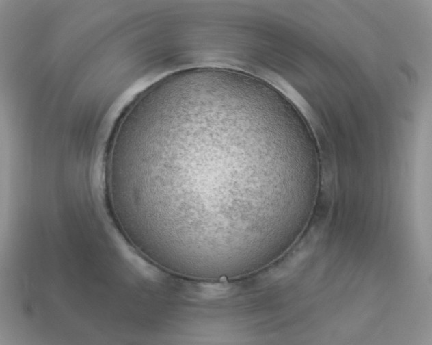 X0000114021144200910161750