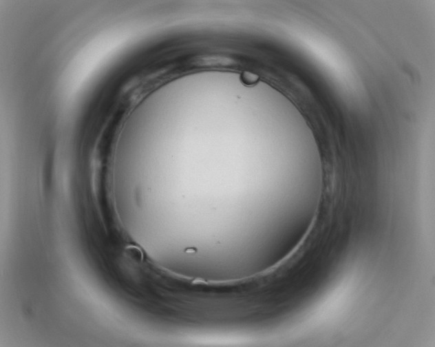 X0000114021151200910161751