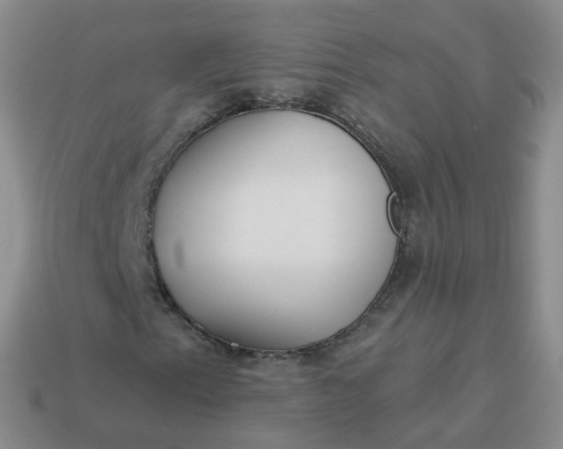 X0000114021153200910161750