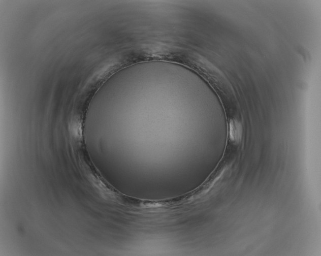 X0000114021155200910161750