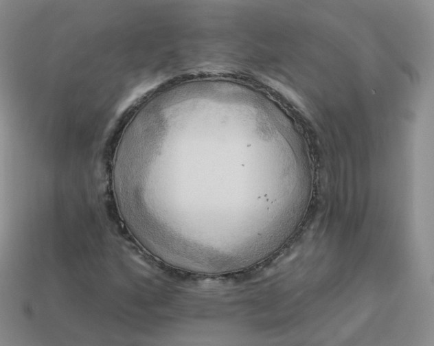 X0000114021160200910161750