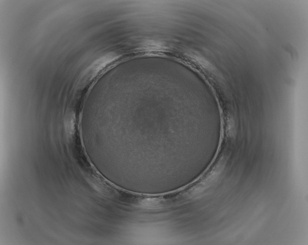 X0000114021161200910161750